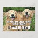 Suche nach circus postkarten Lustig