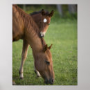 Suche nach colte poster Feld