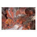 Suche nach petra jordan poster Natur