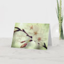 Suche nach empfindlich karten Fotografie