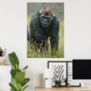 Suche nach flora fauna poster Gorilla