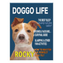 Suche nach pitbull kunst poster Hundefreund