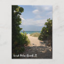 Suche nach palm beach postkarten Natur