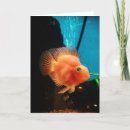 Suche nach aquarium karten Salzwasser