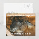 Suche nach llama poster Worte