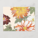 Suche nach rote orange postkarten Blume
