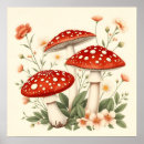 Suche nach pilz poster Fliegenagar