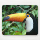 Suche nach toucan mousepads Dschungel