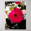 Suche nach gerbera poster Blumenreich