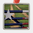 Suche nach texas stern ornamente Usa