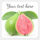 Suche nach guava Frisch