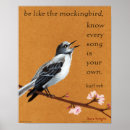 Suche nach spottdrossel poster Vögel