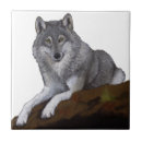 Suche nach wolf fliesen Raubtier