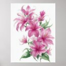 Suche nach lilium poster Rosa