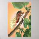 Suche nach insectes poster Natur