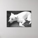 Suche nach w leinwandbilder B und w
