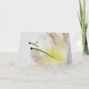Suche nach weiße lilie karten Blume