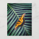 Suche nach linke postkarten Blatt