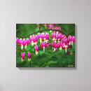 Suche nach rosa weiß leinwandbilder Natur