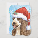Suche nach cocker spaniel hunde karten Weihnachtsmannmütze