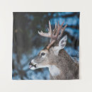 Suche nach die linse poster Natur