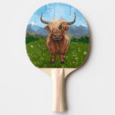 Suche nach cow Hochland