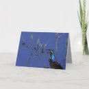 Suche nach eisvogel karten Gruß