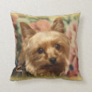 Suche nach yorkie kissen Zuhause