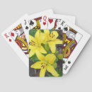 Suche nach blume lilly Lilie