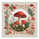 Suche nach mushrooms poster Blumenreich