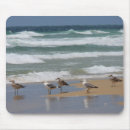 Suche nach möven mousepads Vögel