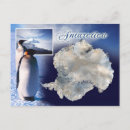 Suche nach eisberg postkarten Pinguine