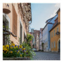 Suche nach taube poster Blume