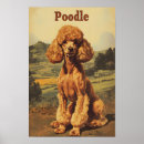 Suche nach pudel poster Welpe