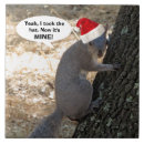 Suche nach lustige eichhörnchen fliesen Spaß