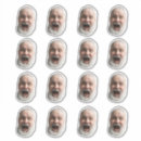 Suche nach lustiges foto aufkleber Für ihn