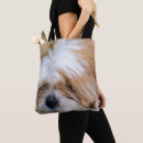 Suche nach shih tzu taschen Porträt