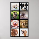 Suche nach lustige hunde poster Niedlich