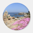 Suche nach carmel magnete Monterey