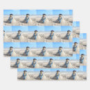 Suche nach florida geschenkpapier Packpapier