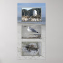 Suche nach triptychon poster Ozean