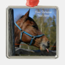 Suche nach lustiges pferd ornamente Tiere