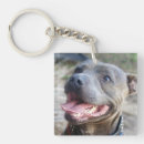 Suche nach staffordshire schlüsselanhänger Bullschrecker