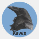 Suche nach schwarzer rabe aufkleber Vogel