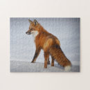 Suche nach fuchs im schnee puzzle Wildtiere