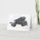 Suche nach aufrichtiges beileidskarten Trauer