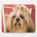 Suche nach vorderansicht mousepads Raum