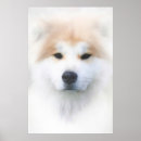 Suche nach samoyeds Für haustiere