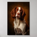 Suche nach irish setter poster Welpe