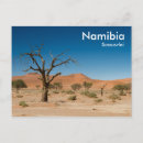Suche nach toter baum postkarten Namibia
